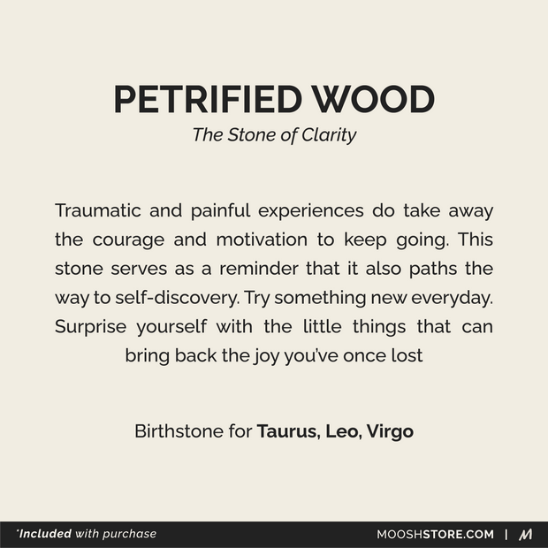 HAMSA Bracelet: Petrified Wood & Turquoise
