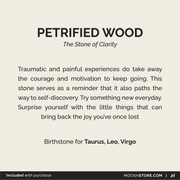 NOVA Bracelet: Petrified Wood