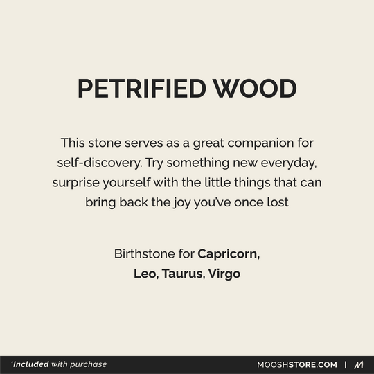 HAMSA Bracelet: Petrified Wood & Turquoise